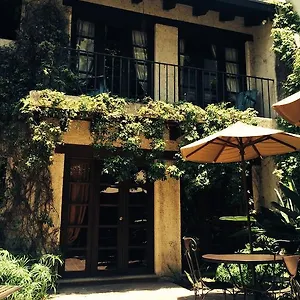 Cissus Boutique (adults Only) Guatemala